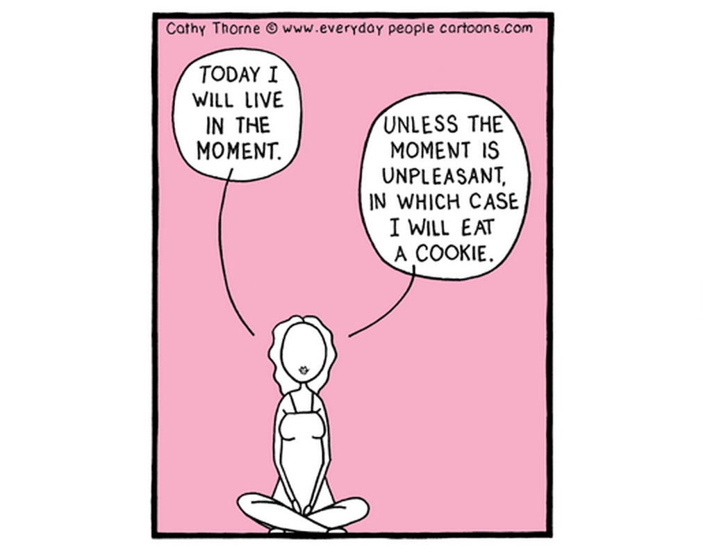 TTE1 – The Thursday Enthusiasms (Book, Kitchen, Cartoon, Video, Subject)