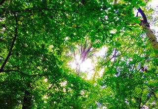 JST 90 – Why you’re built for reality (what a relief!)
