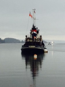 Saltspring