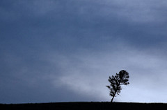 JST 161 – The power of the non-exceptional