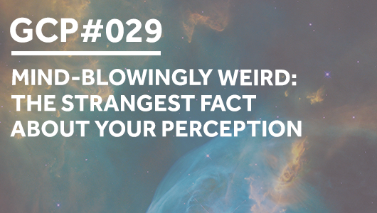 #029 – Mind-blowingly weird: the strangest fact about your perception – Get Clarity Podcast