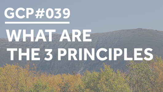 #039 – What are the 3 principles – Get Clarity Podcast